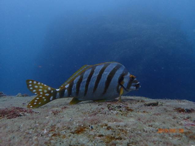 e0115199_16454143.jpg