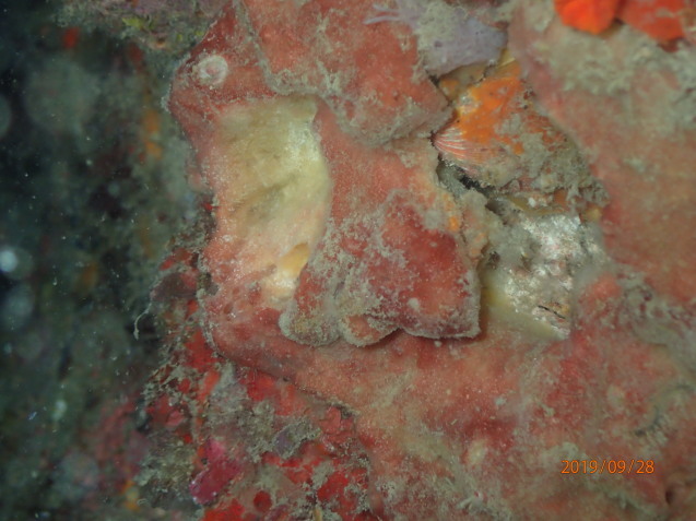 e0115199_16463733.jpg