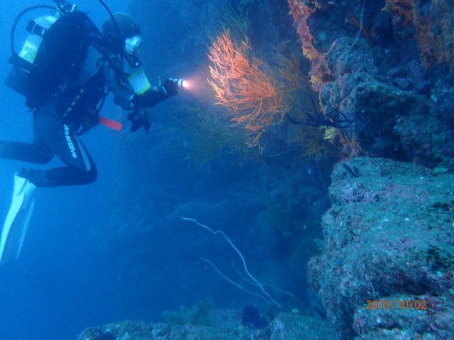 e0115199_18360961.jpg