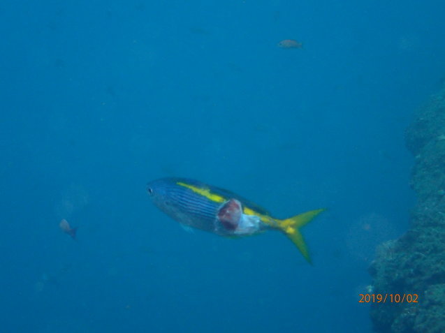 e0115199_18365887.jpg