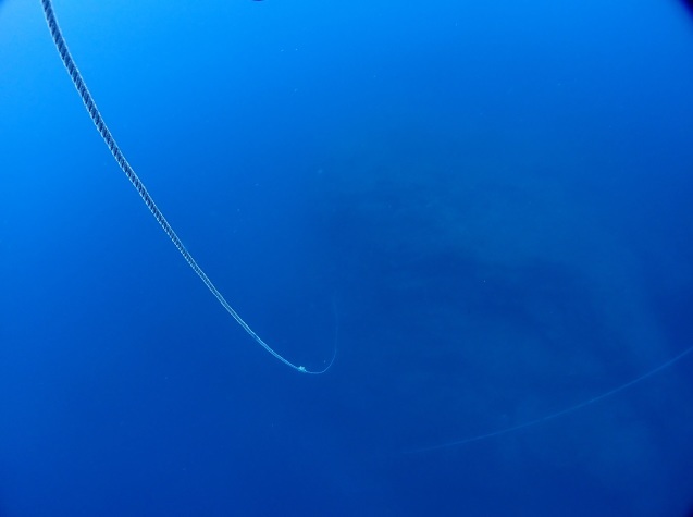 e0115199_18554564.jpg