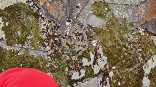 c0336902_19251740.jpg