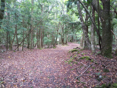 b0040606_1713673.png