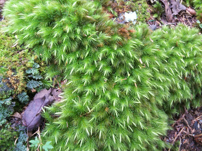 b0040606_17171310.png