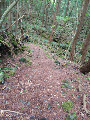 b0040606_1772572.png