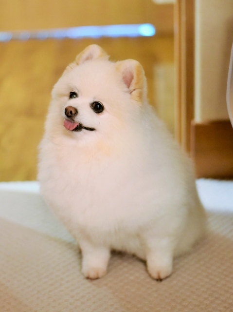 控えめにお願い_d0360206_00014125.jpg