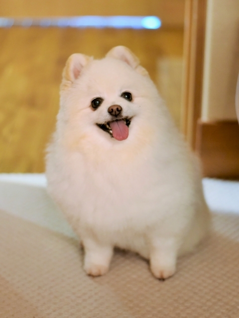 控えめにお願い_d0360206_00014563.jpg