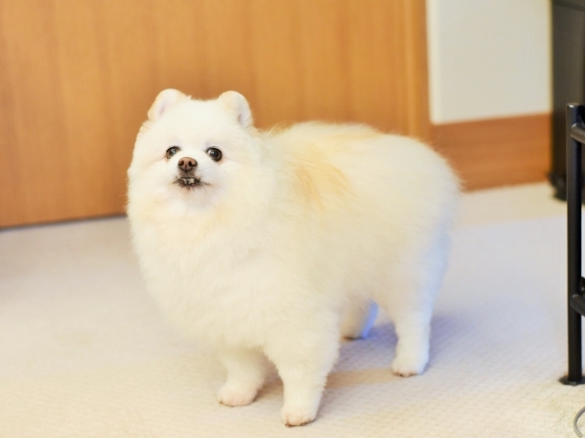控えめにお願い_d0360206_00014800.jpg