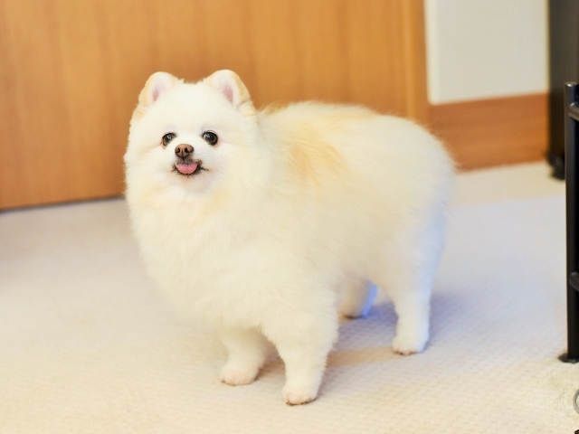 控えめにお願い_d0360206_00015378.jpg