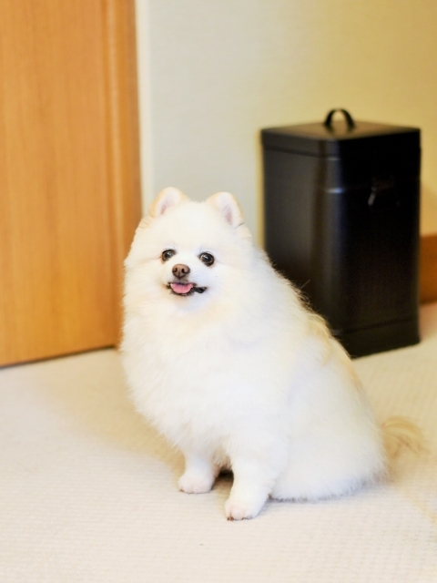 控えめにお願い_d0360206_00020162.jpg