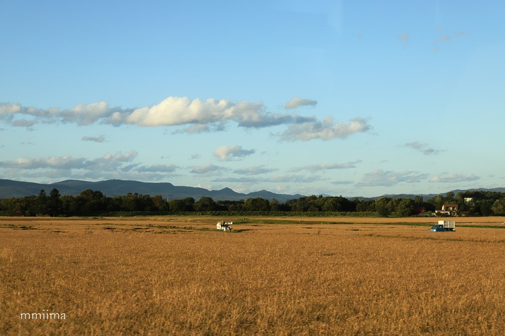 北海道の旅・・車窓から_f0131611_05042069.jpg