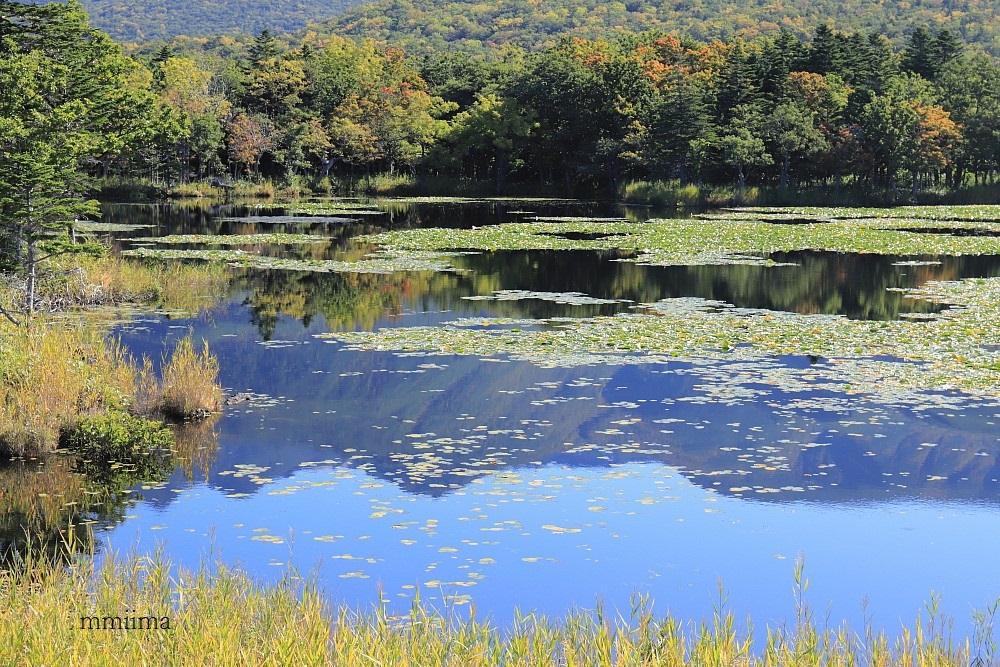 北海道の旅・・湖_f0131611_05054597.jpg