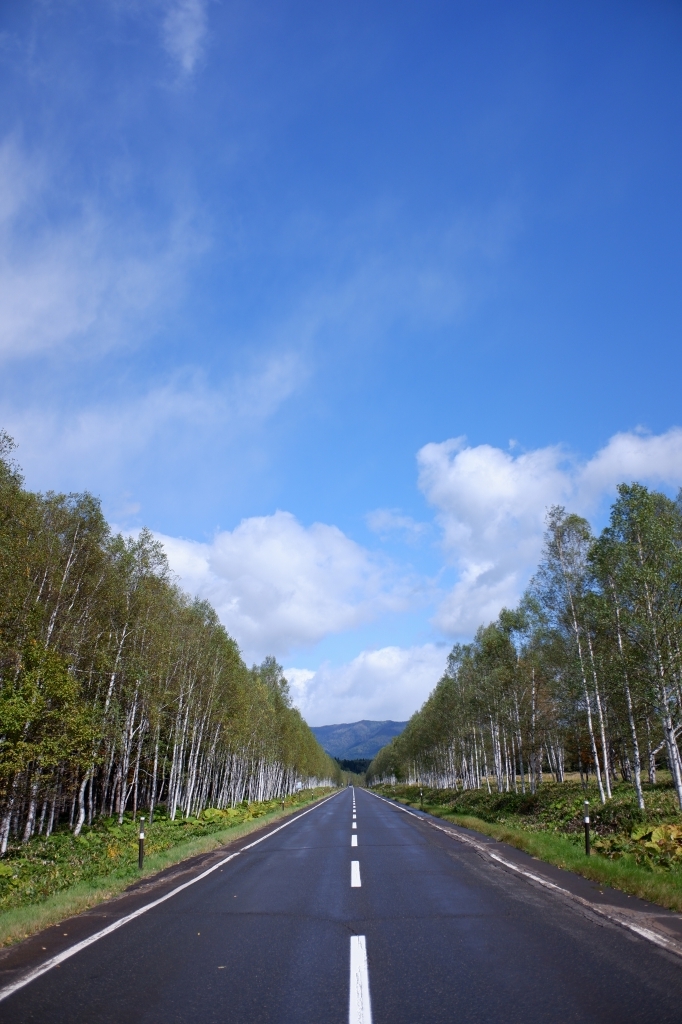 2019北海道ツーリング Day2 9月25日 秋たけなわ 大雪国道_f0050534_07502702.jpg