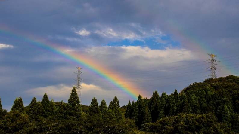 d0060435_21015154.jpg