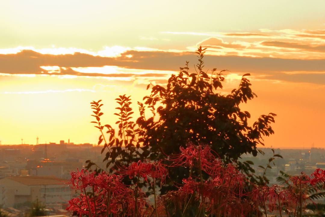 e0403850_21331381.jpg