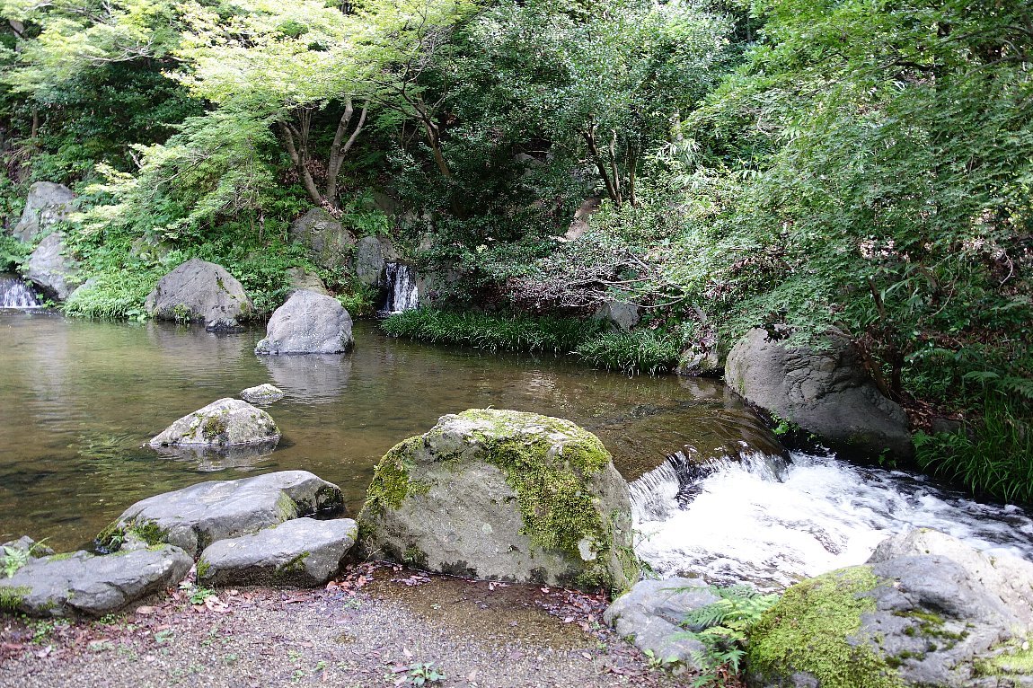万博記念公園　日本庭園　木漏れ日の滝_c0112559_08021132.jpg