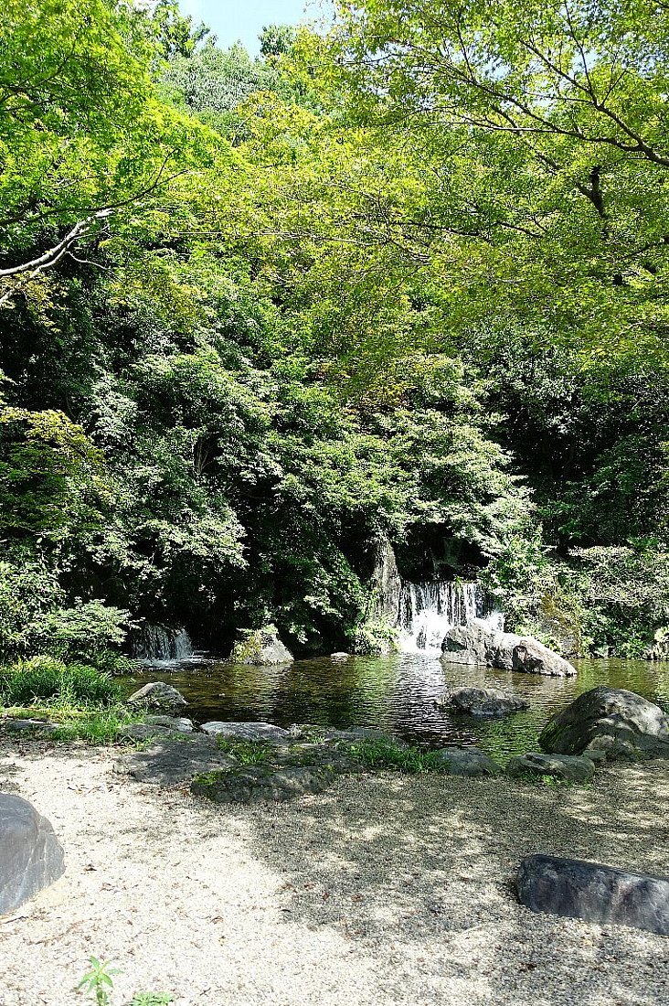 万博記念公園　日本庭園　木漏れ日の滝_c0112559_08044539.jpg