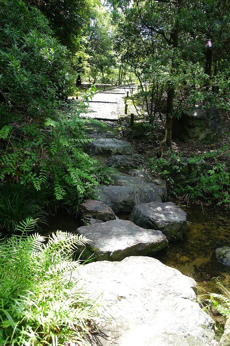万博記念公園　日本庭園　木漏れ日の滝_c0112559_08065070.jpg