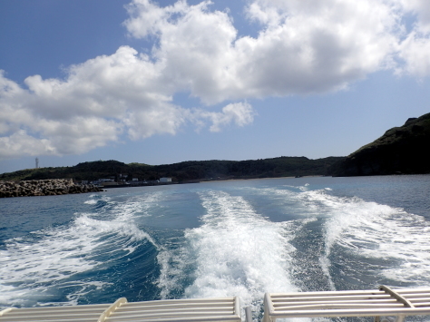 10月 4日 潮が落ち着きなくて…大成功!_d0113459_20242931.jpg
