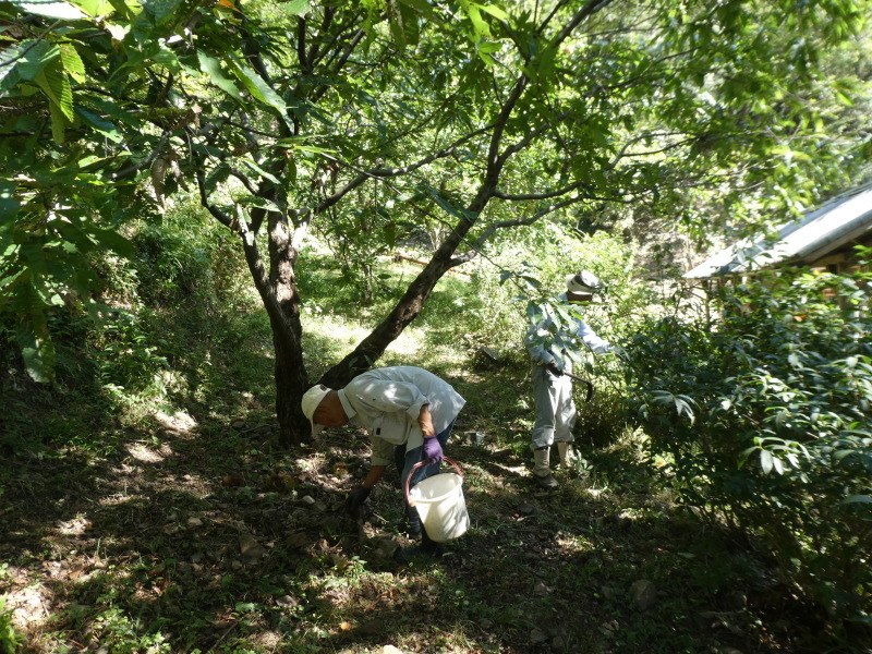 c0108460_15262409.jpg