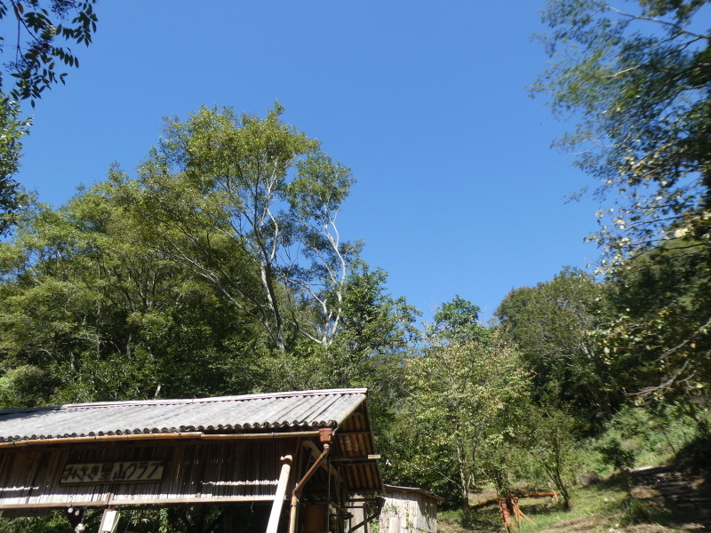 c0108460_15262535.jpg