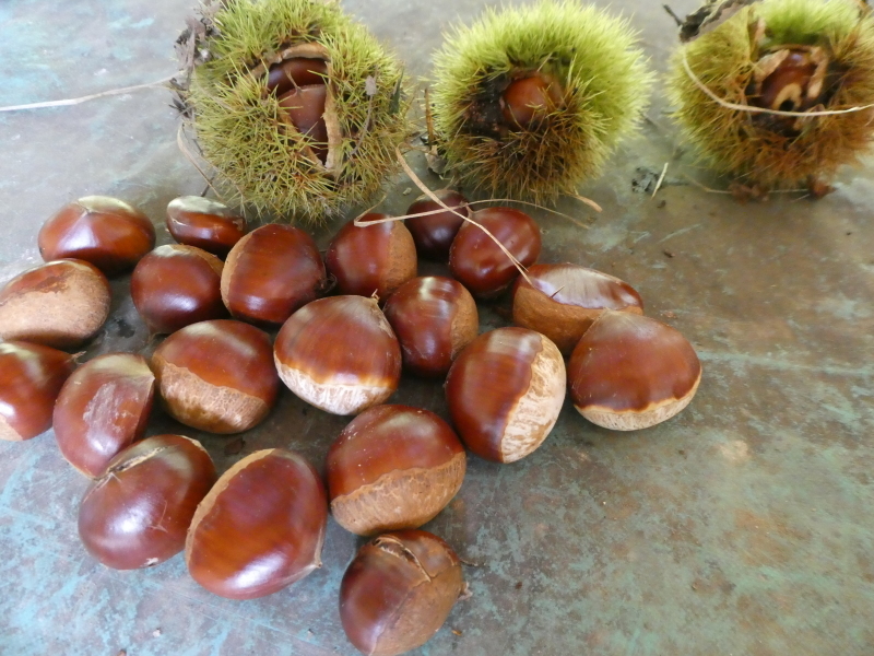 c0108460_15271511.jpg
