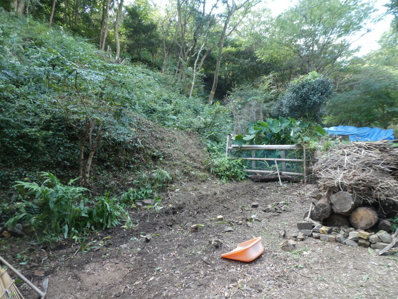c0108460_15284510.jpg