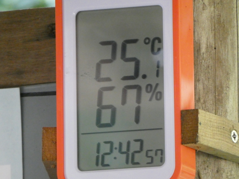 c0108460_15301544.jpg