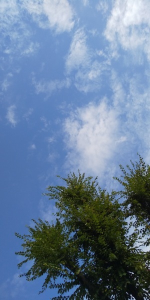 f0061067_22230852.jpg