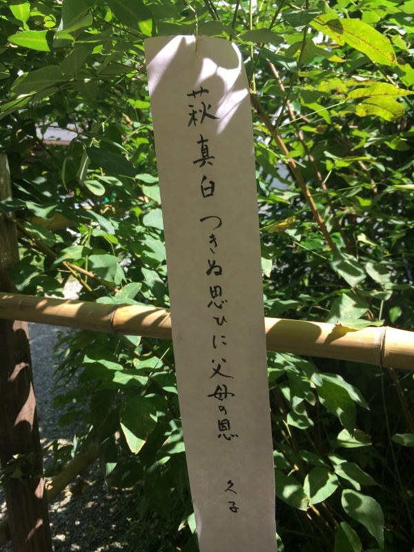 梨木神社で萩を愛でる日_f0363168_23040125.jpeg