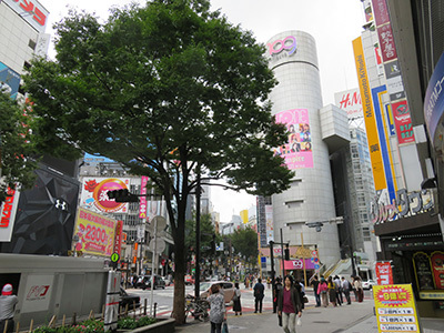 b0056983_18285784.jpg