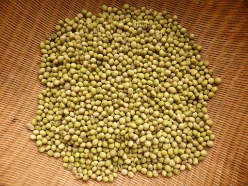 今年の豆の収穫_d0366590_19433981.jpg