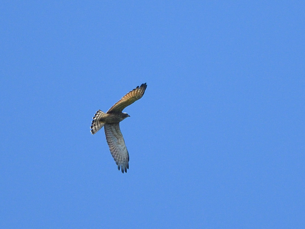 a0143491_23271022.jpg