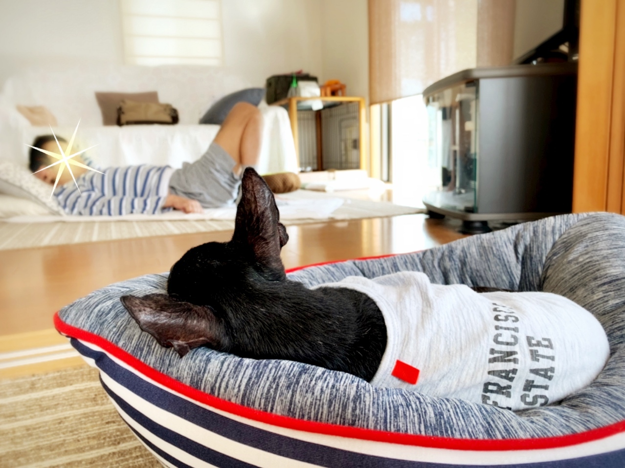 パブリックビューイング de クラス会_b0173802_00315469.jpg