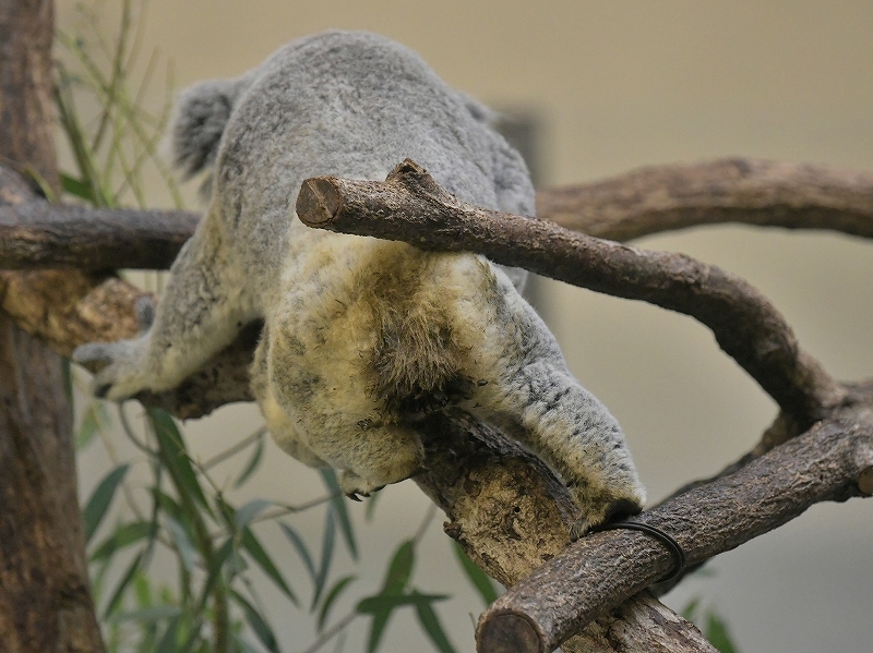 a0164204_13084170.jpg