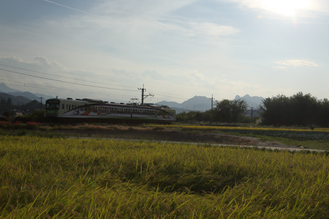 稲穂と電車 _a0357206_19590031.jpg