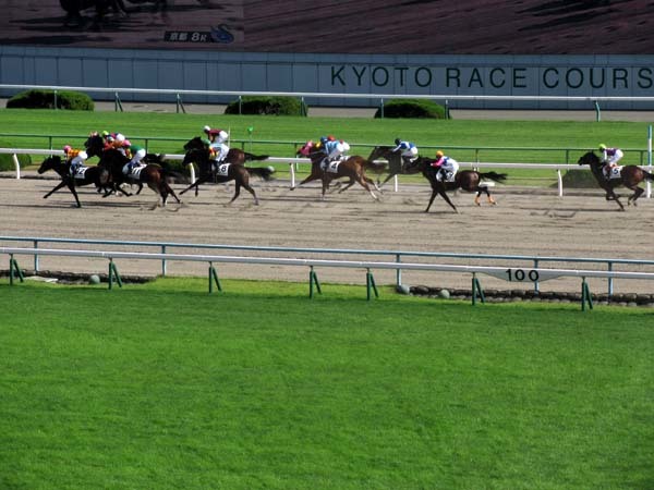 　京都競馬場へ行った_e0048413_22285374.jpg