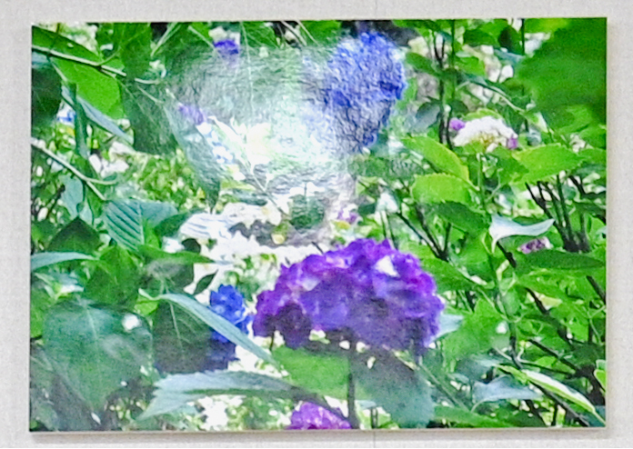 ai...ting wo shuoさんのお花畑_d0265224_18243897.jpg