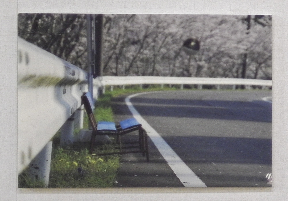 ai...ting wo shuoさんのお花畑_d0265224_18243999.jpg