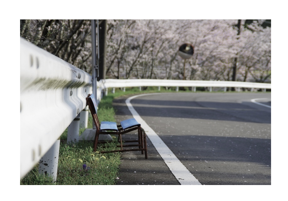 ai...ting wo shuoさんのお花畑_d0265224_18295092.jpg