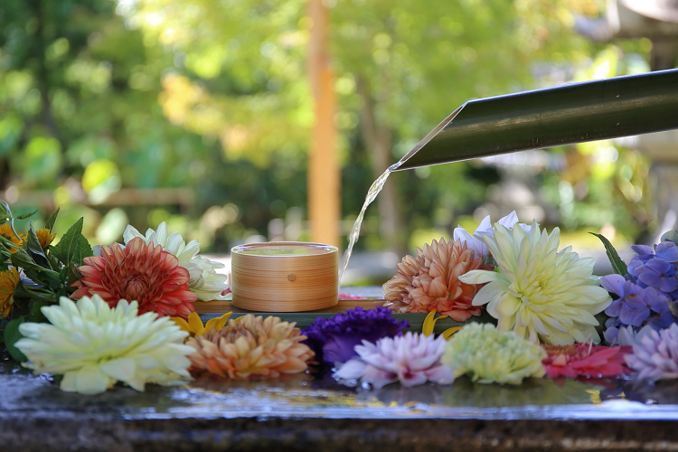 京の夏の旅2019 －エピローグ－_b0169330_8371628.jpg