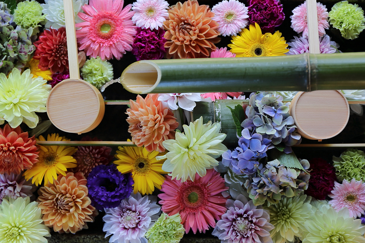 京の夏の旅2019 －エピローグ－_b0169330_8475821.jpg