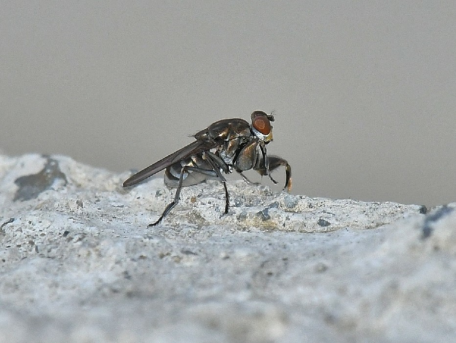 f0340732_23154632.jpg