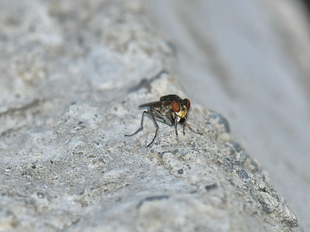 f0340732_23154673.jpg