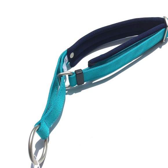 CORDURA SSD SLIP COLLAR コーデュラ スリップカラー ブルー_d0217958_13213061.jpg