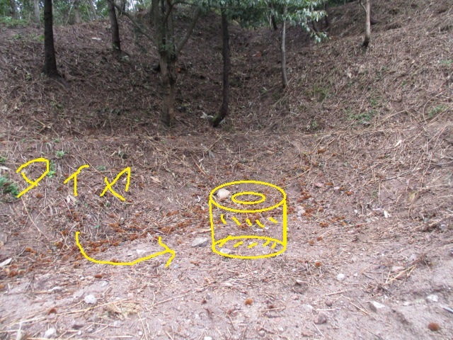 c0080863_10121634.jpg
