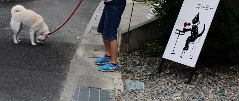 新入荷お洋服のご案内 & 頼もしワン_e0167795_20364101.jpg
