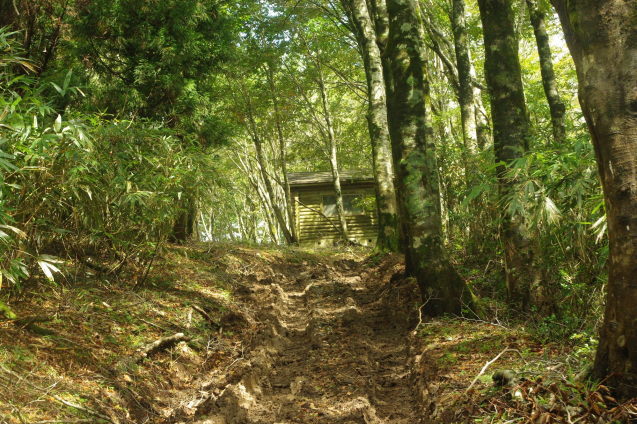 d0341514_20515173.jpg