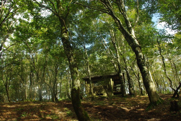 d0341514_20525534.jpg