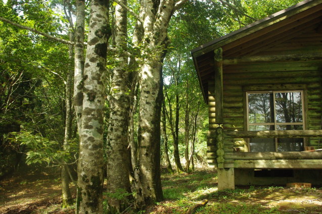 d0341514_20534620.jpg